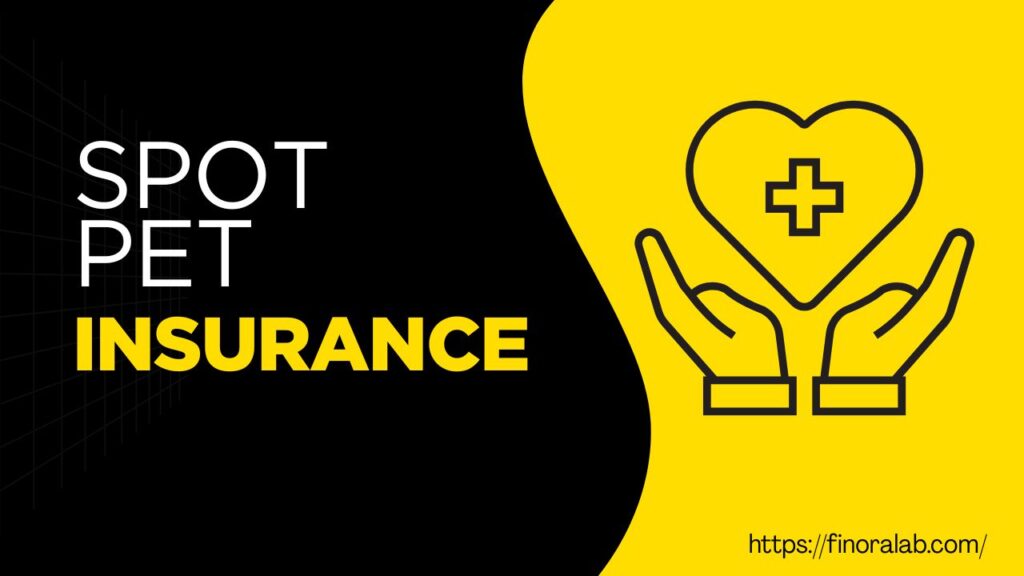 Spot Pet Insurance