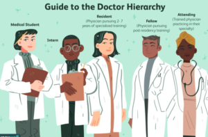 Anesthesiologist Salary: Average Earnings, Top-Paying States, and Career Outlook in 2026