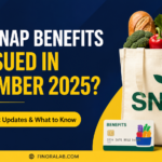 Will SNAP Benefits Be Issued in November 2025? What to Know Will SNAP Benefits Be Issued in November 2025